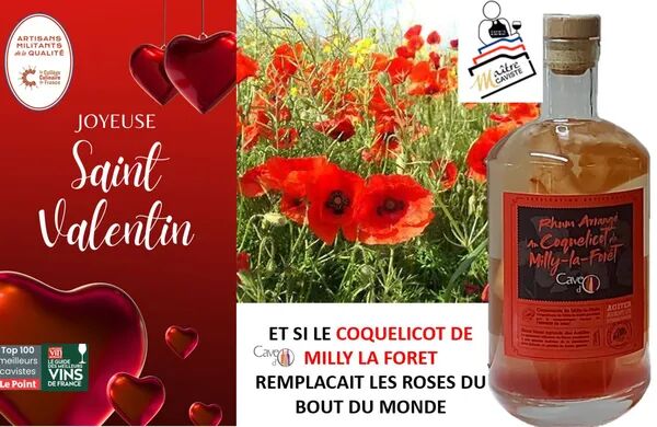 Coquelicot de milly la foret